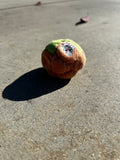 Jack O' Lantern 14 Panel Footbag