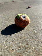 Jack O' Lantern 14 Panel Footbag