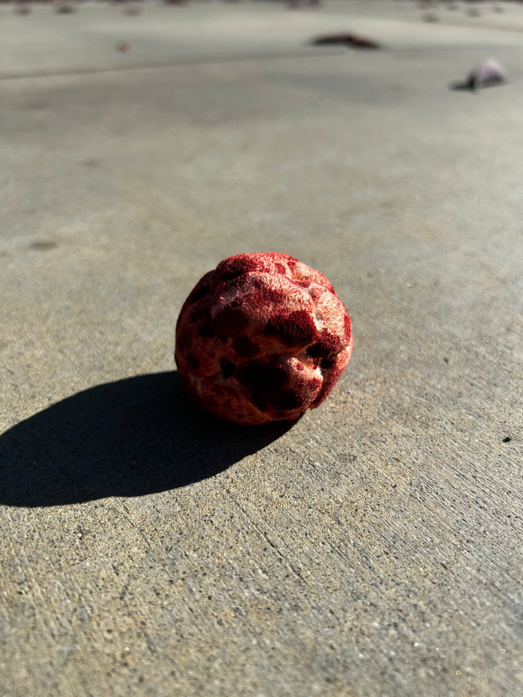 "Bloody Mary" 14 Panel Footbag